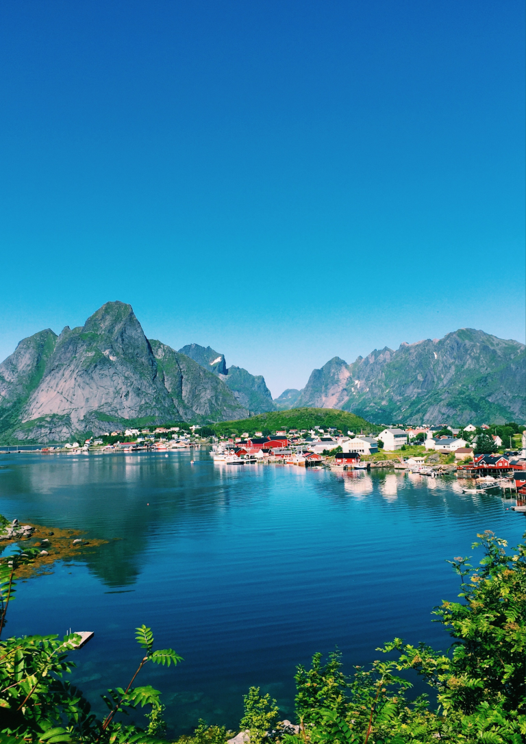 Green and Yellow Modern Online Course Education Poster (8)